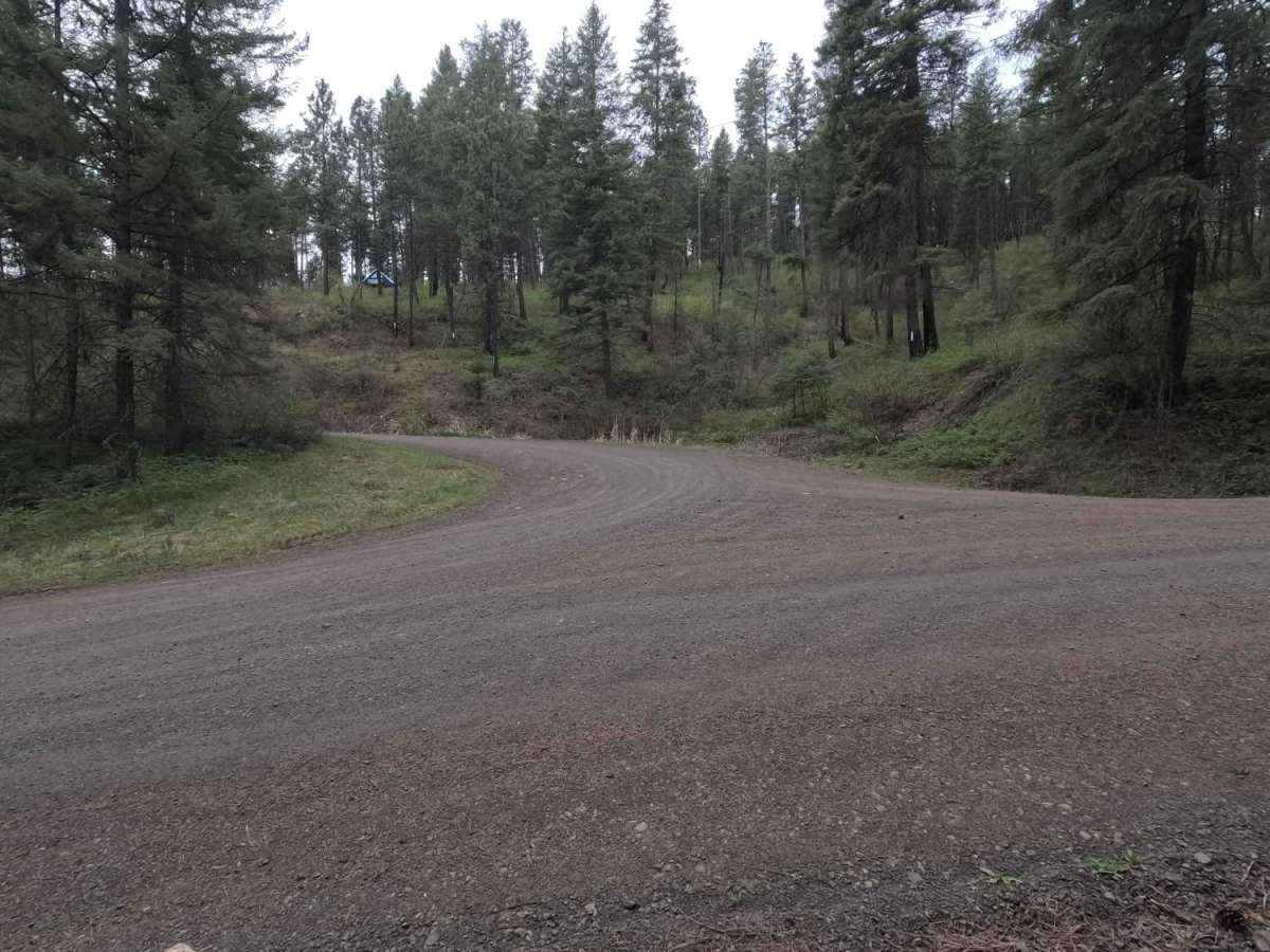 Eden Lane - FS 6212 photo 2