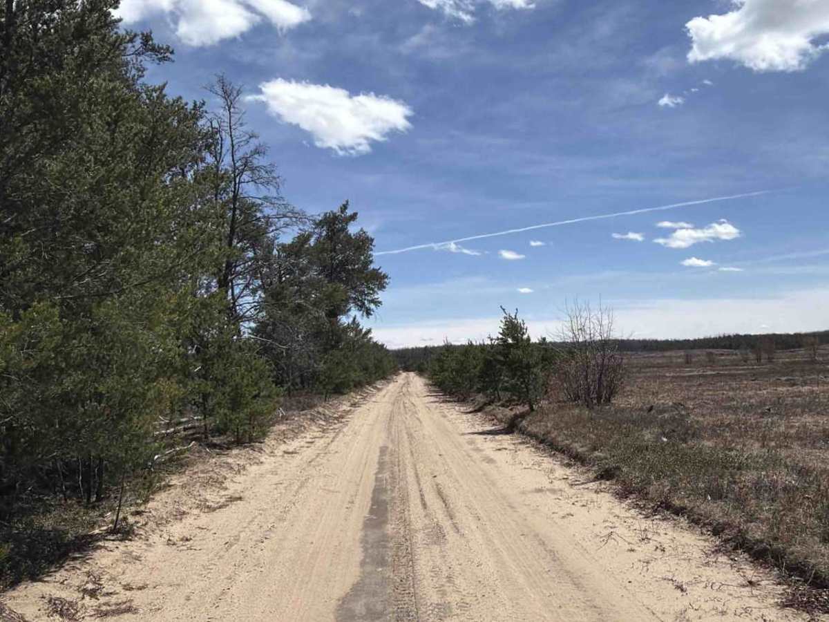 Ketcham Truck Trail photo 2