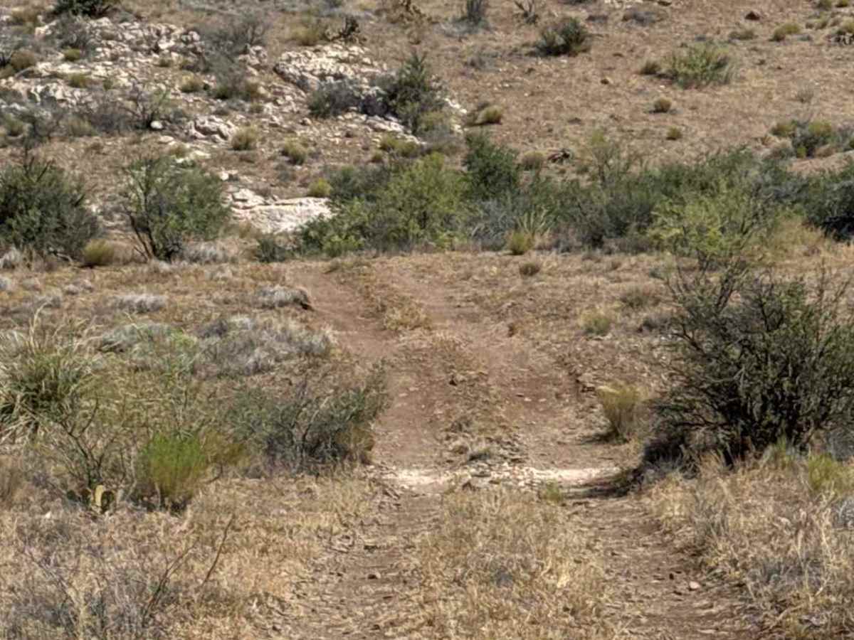 BLM 50016 photo 4