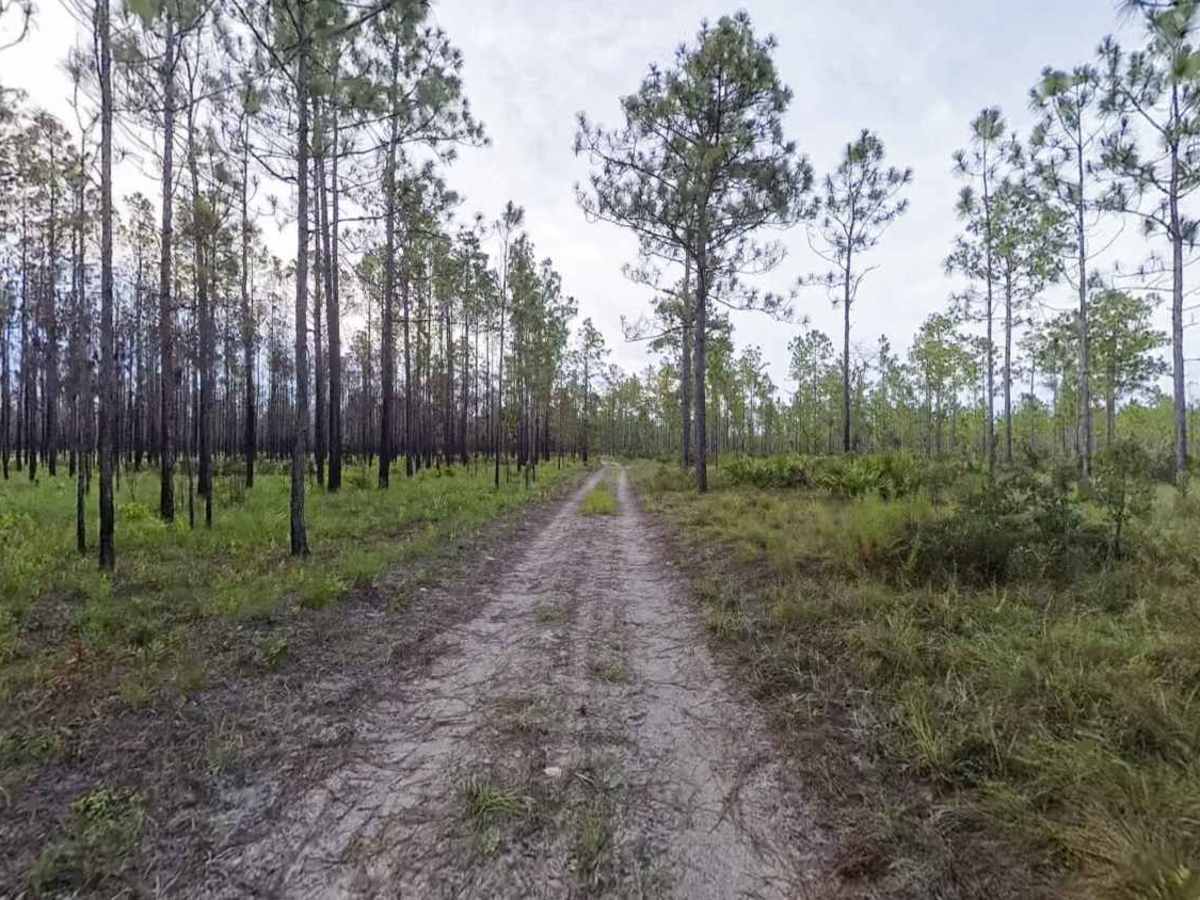 Nolan Ridge Road photo 3