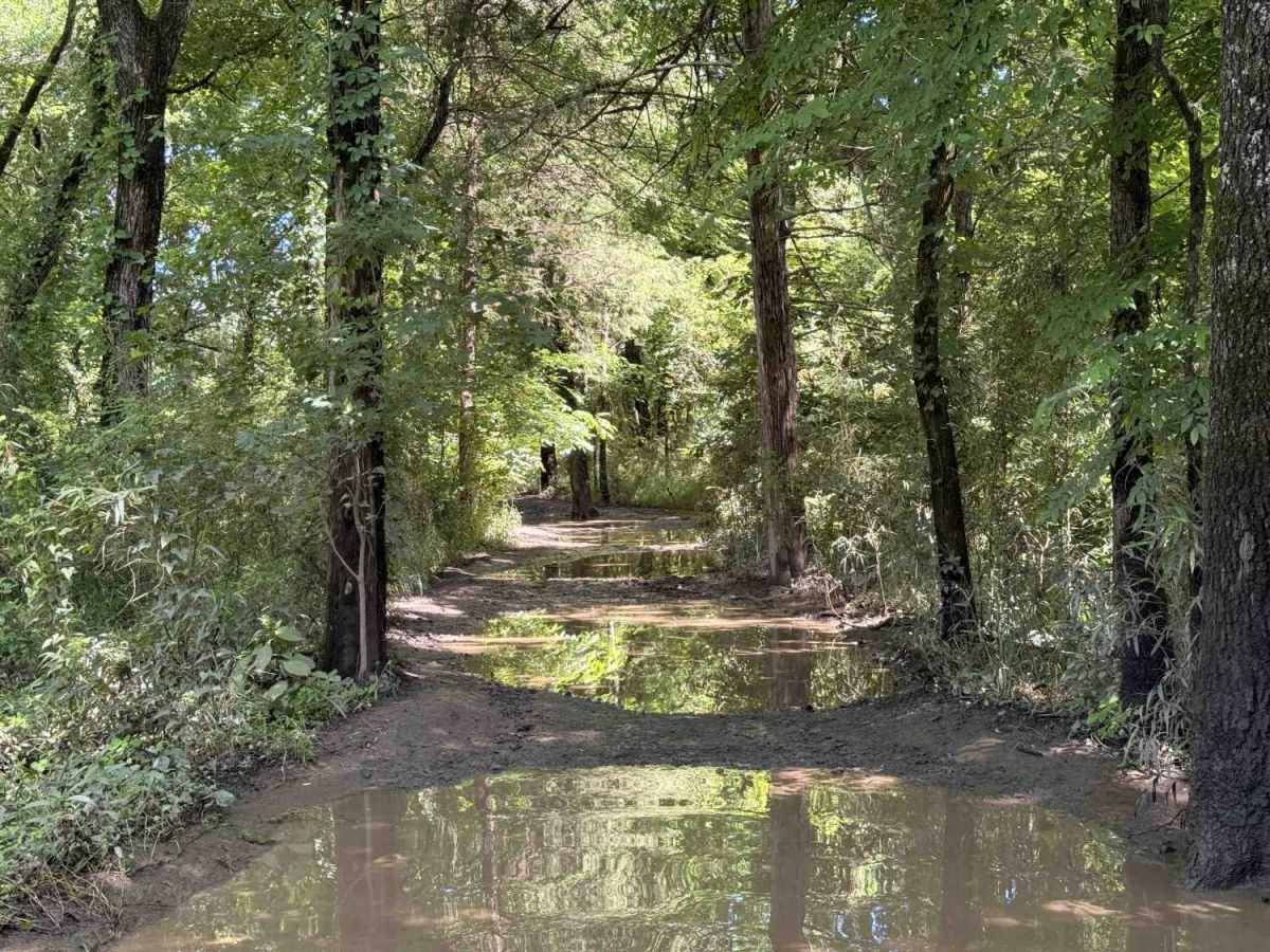 Lower Lee Creek Trail photo 5