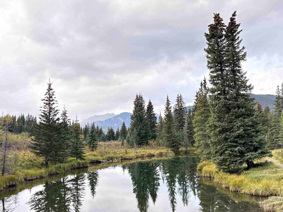 Rock Lake Road photo 5