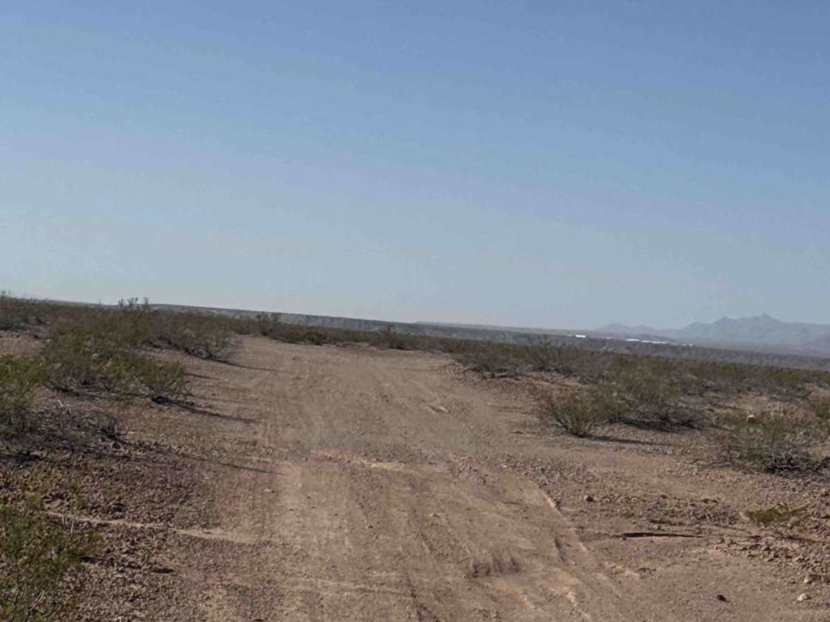 Ss1025 photo 2