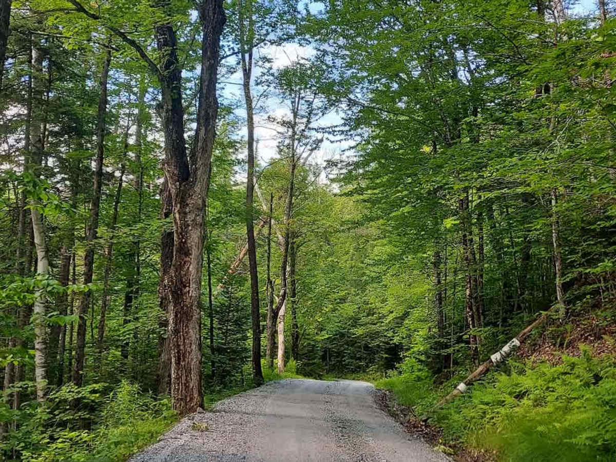 Hale Hollow Trail photo 2