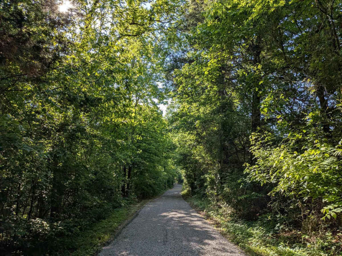 Whites Gap Road photo 5