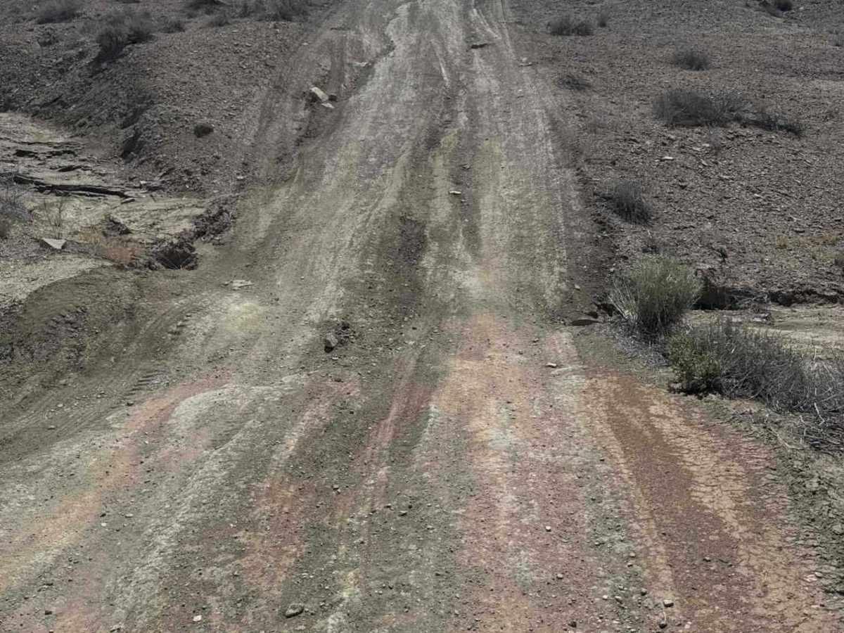 Alstrom Point Trail trail photo