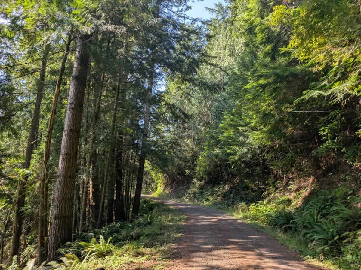 David Ridge Road trail photo