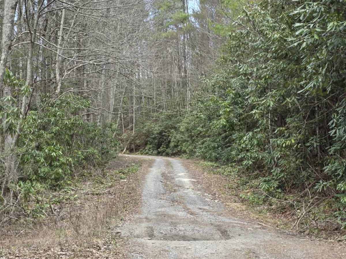 Granny Lewis trail photo