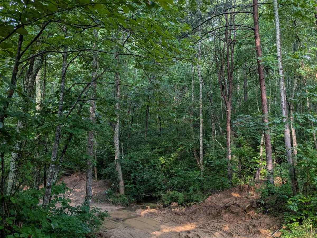 Braddison Branch Road photo 5