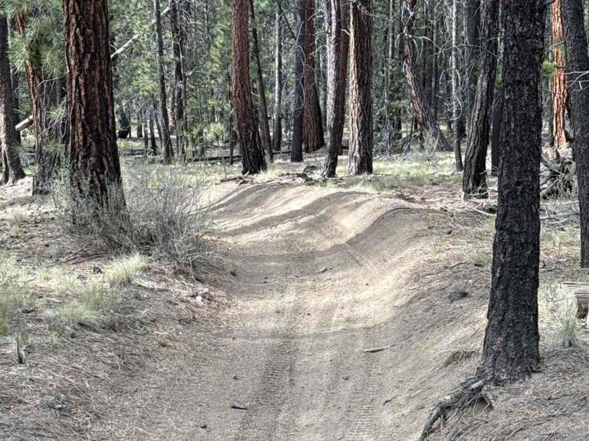 East Fort Rock - OHV Trail 9030 photo 2
