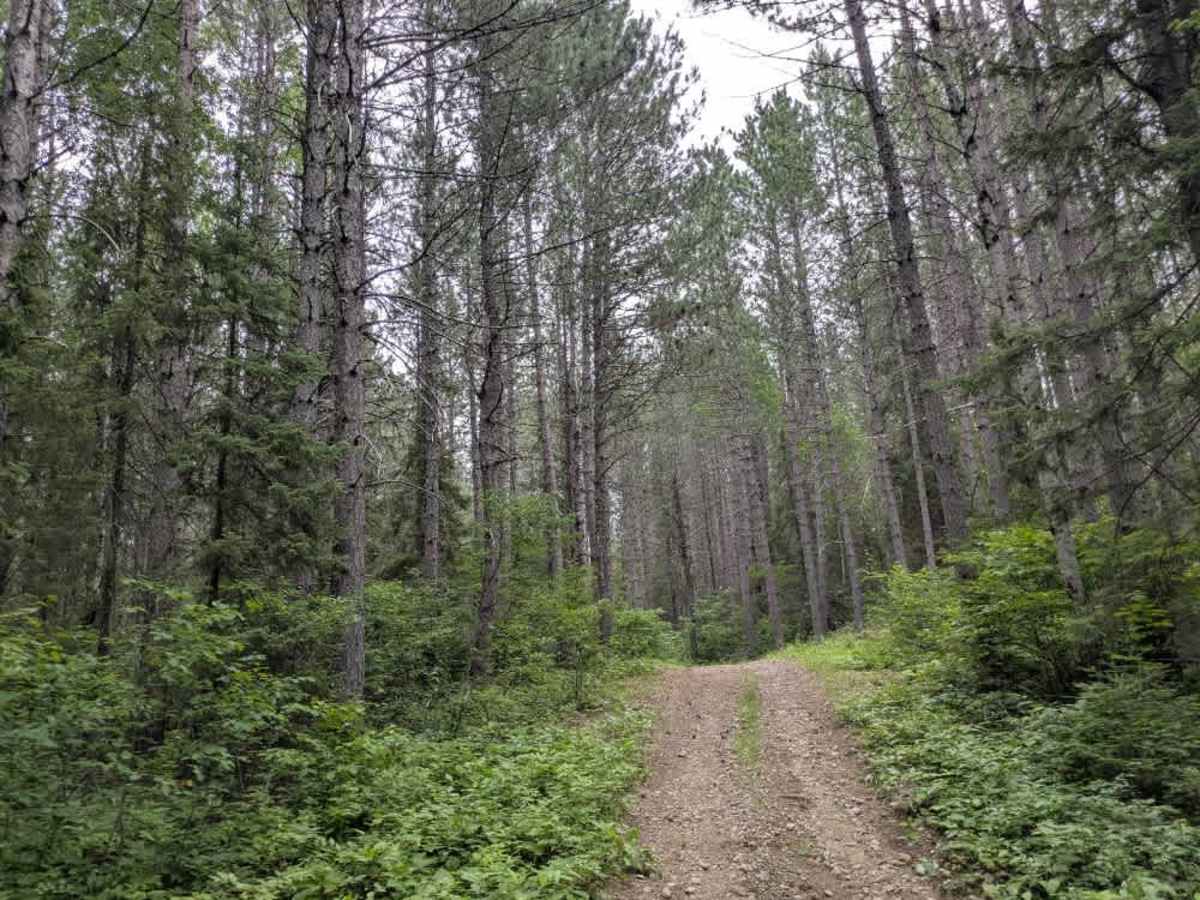 Prospectors Trail Number 8 photo 2