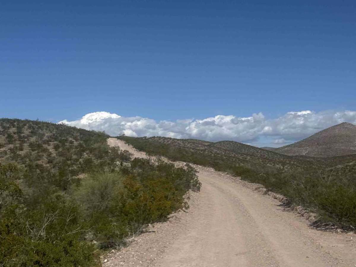 Fh1001 trail photo