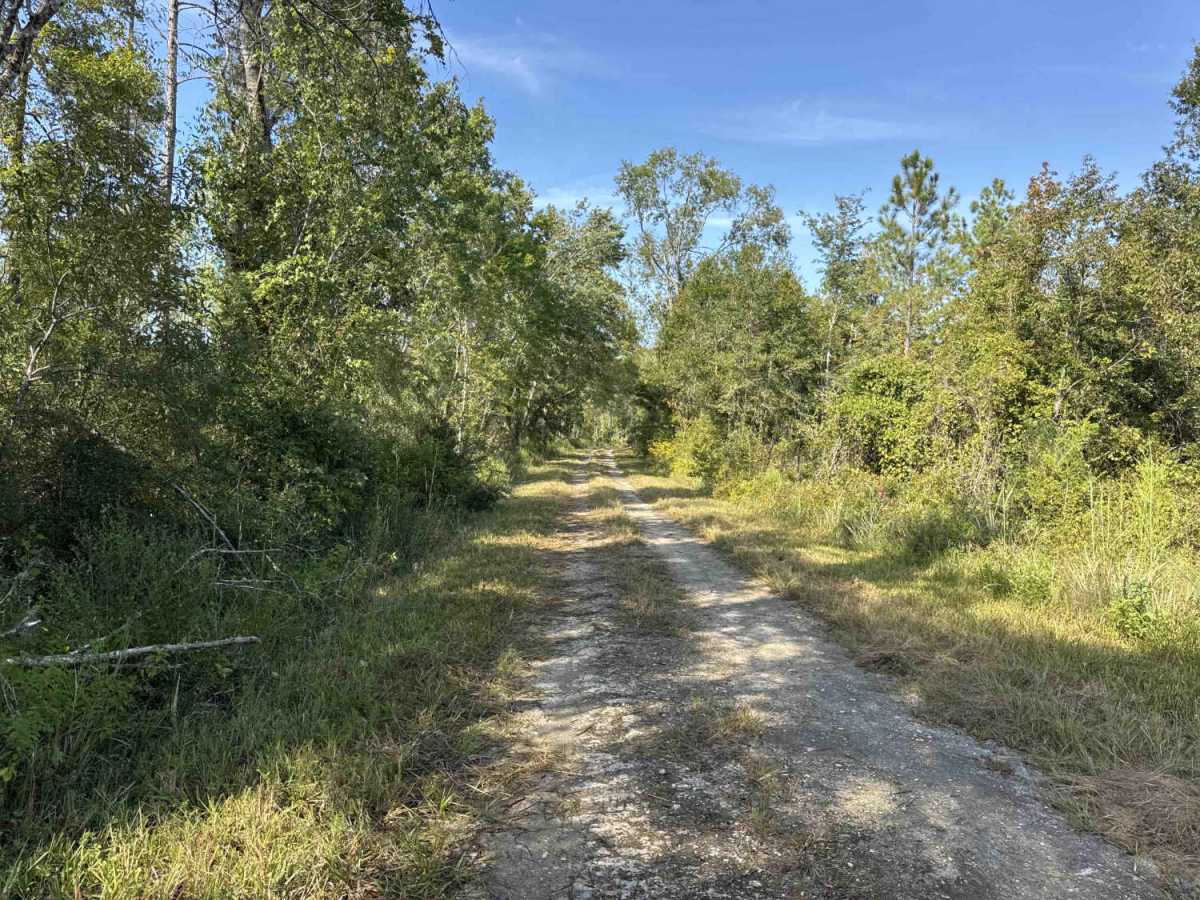 Warbler Loop South photo 5