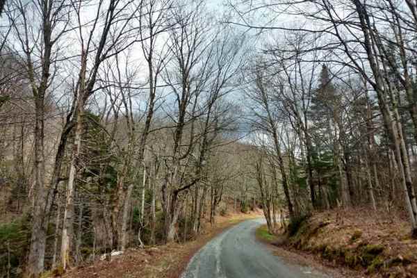 Grout Pond Road