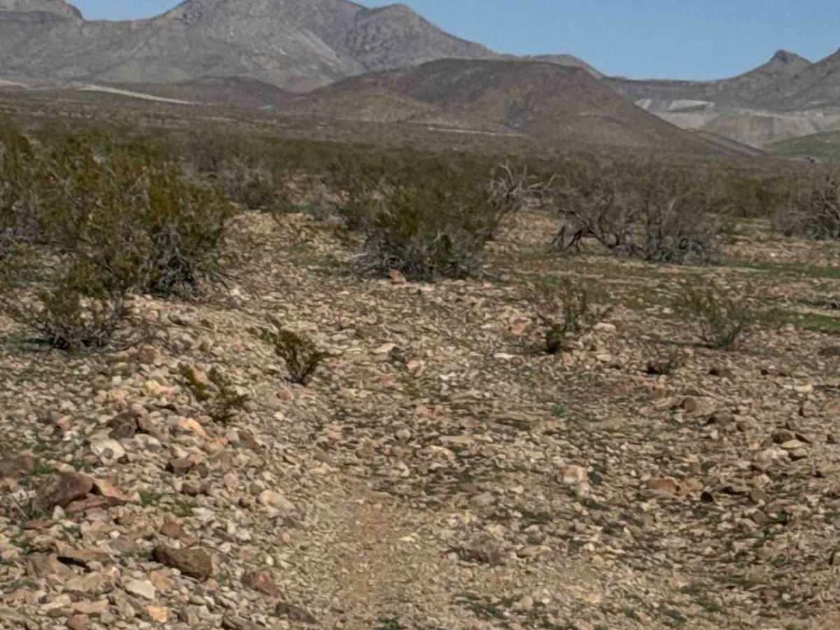 Sa1067 trail photo