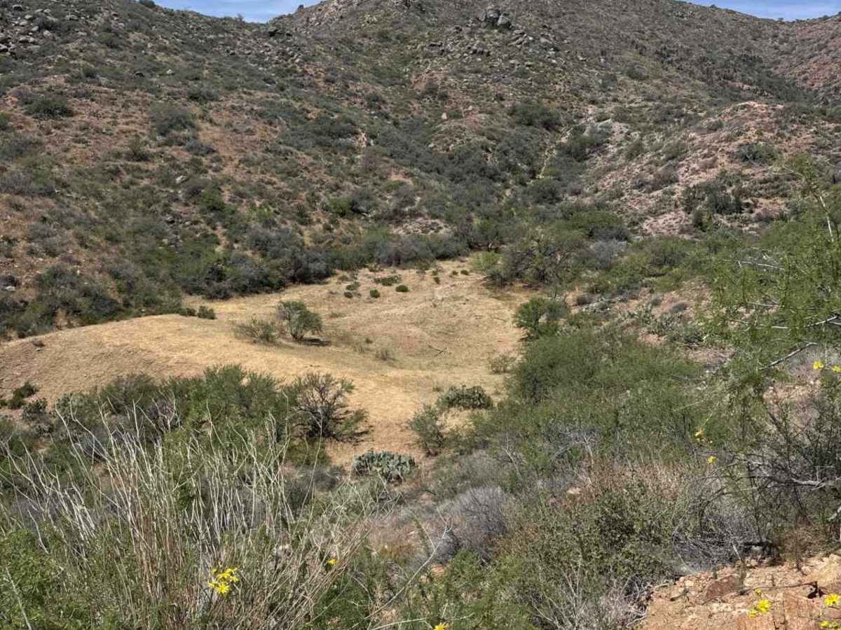Dry Tank Ridge  photo 4