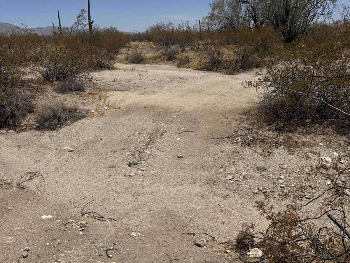 Creosote Run photo 5