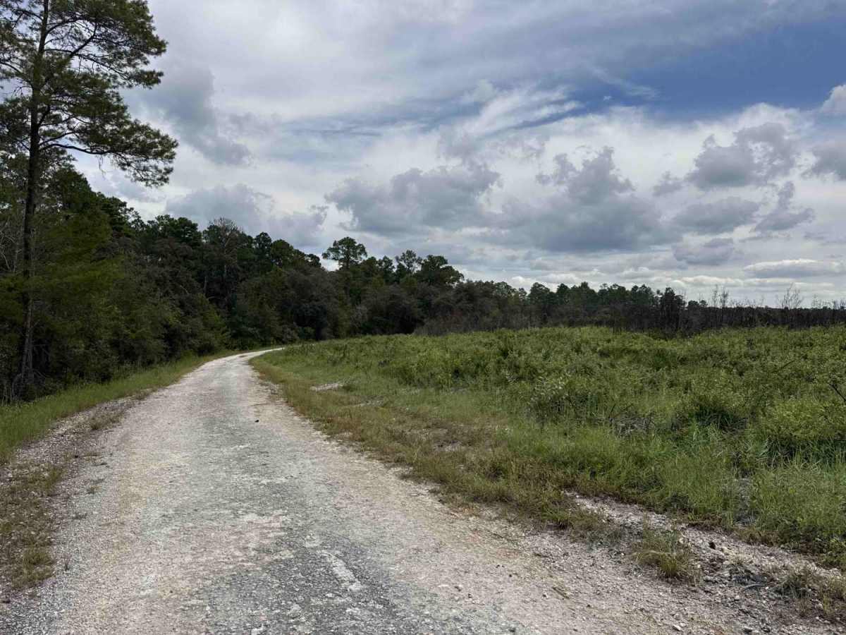 Scrub Road photo 3