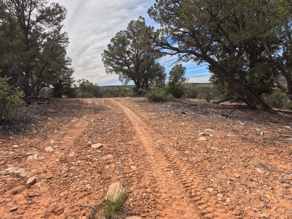 East Side - BLM 74 photo 4
