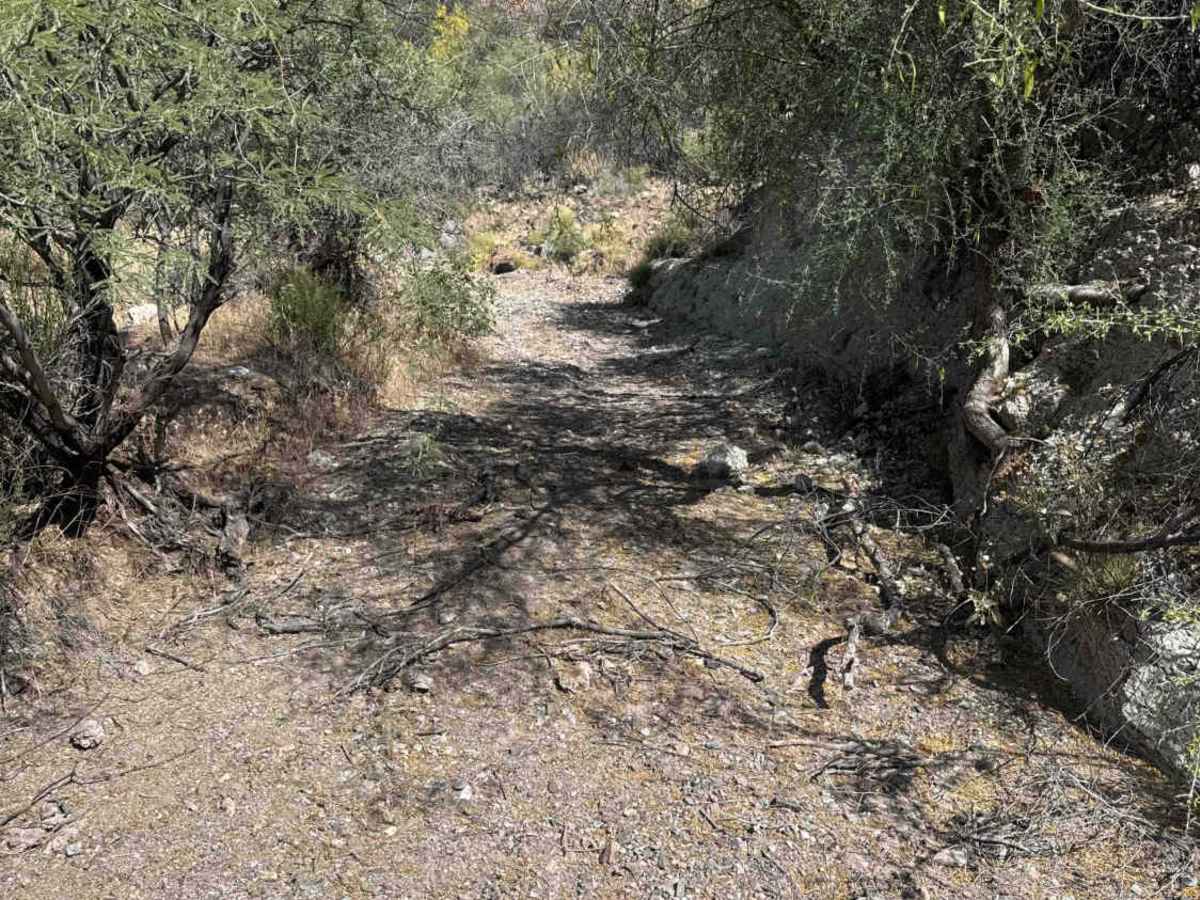 Black Butte Wash photo 5
