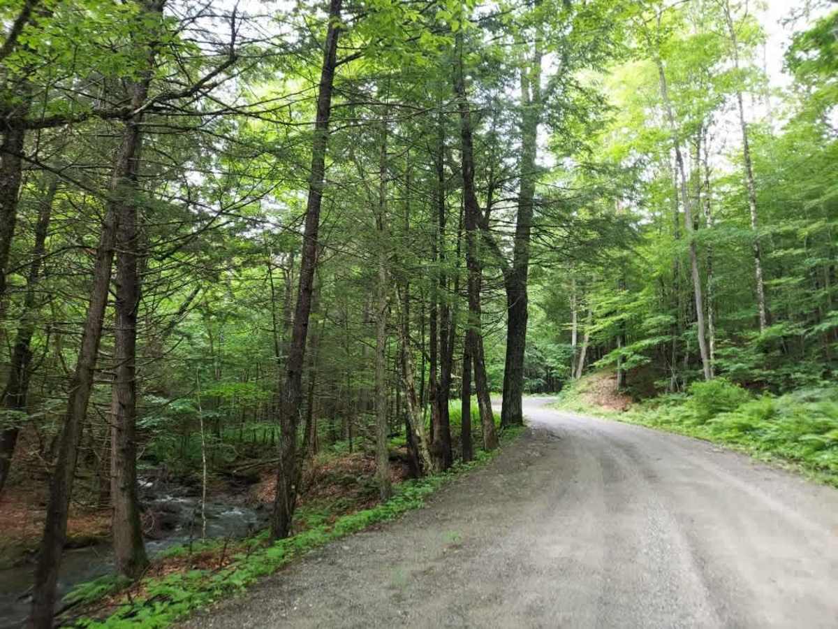 White Brook Road trail photo