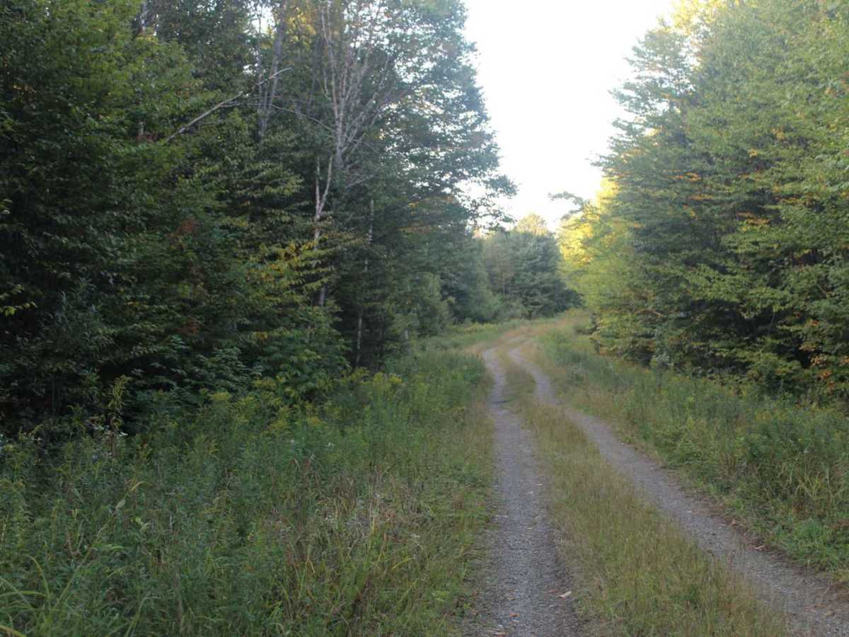 Cozy Brook Road photo 6