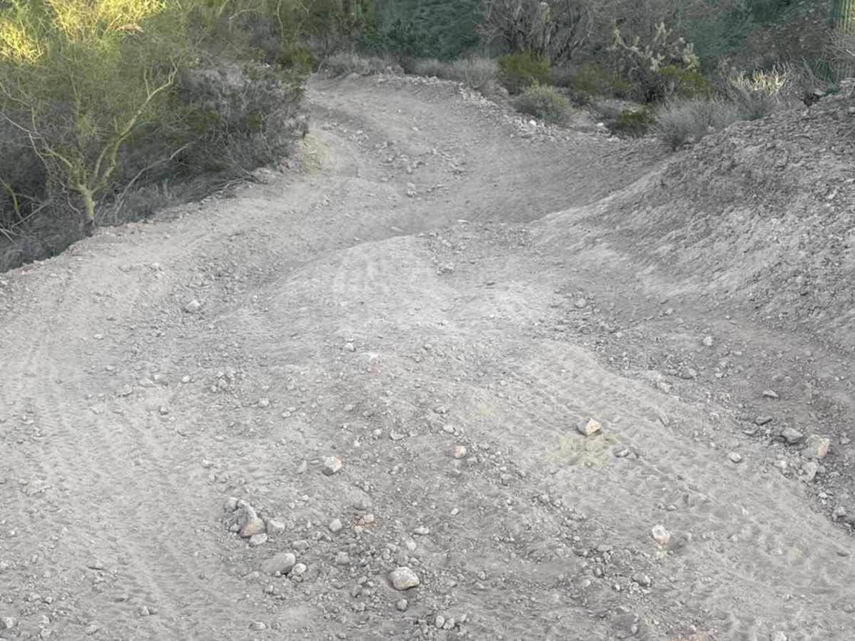 Fence Line Drop In  photo 2
