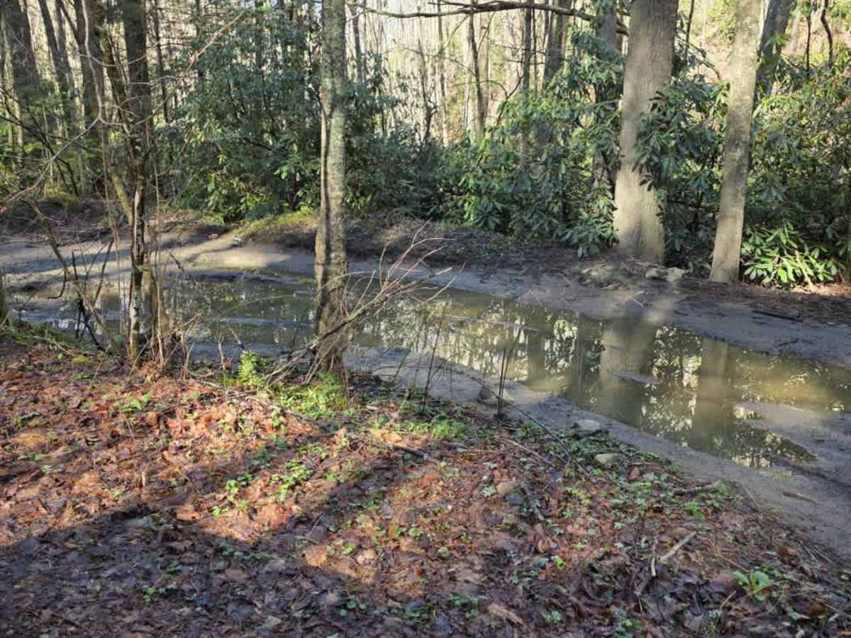 Gentry Creek trail photo