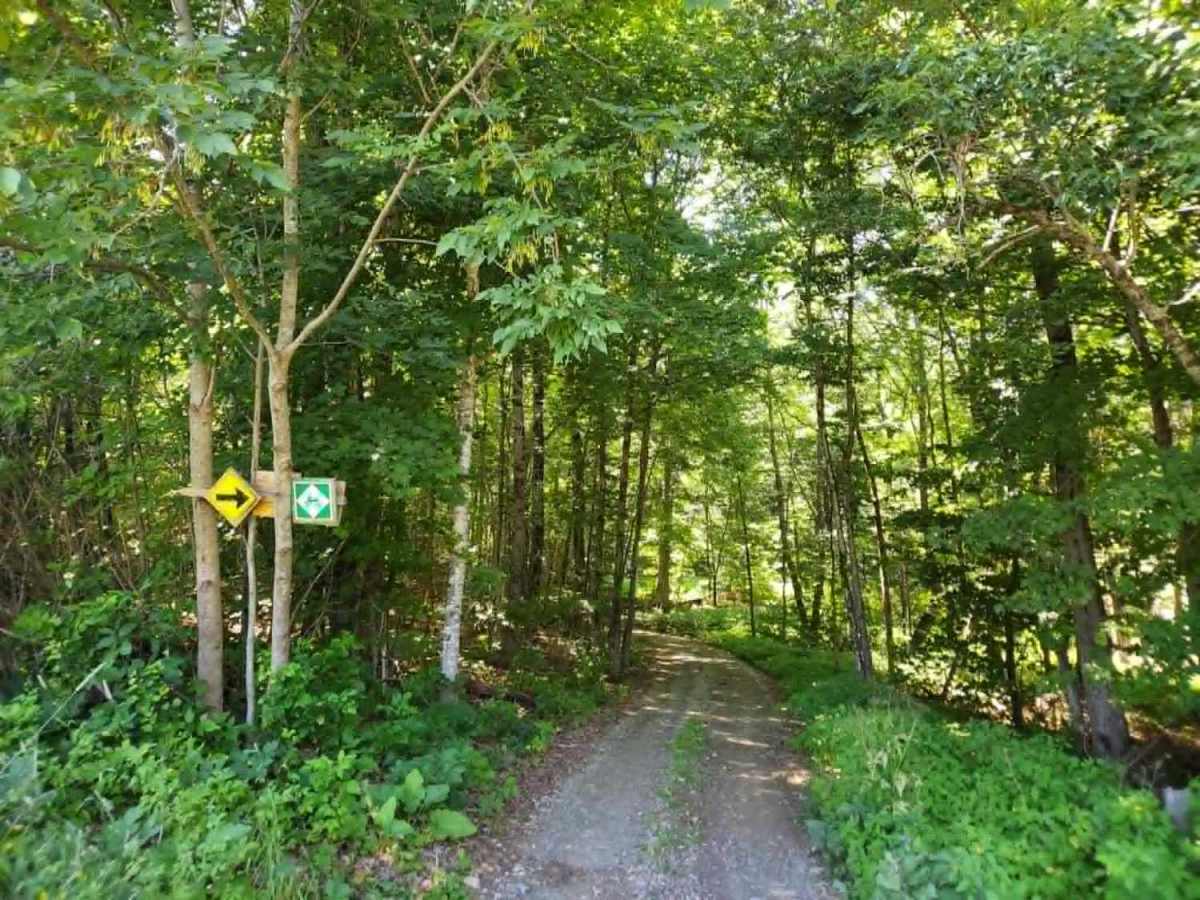 Youngs Brook Crossing trail photo