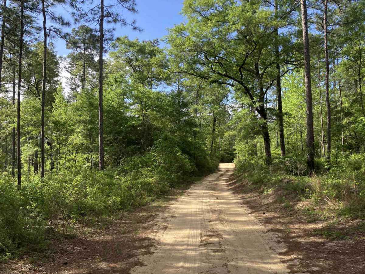 S105 trail photo