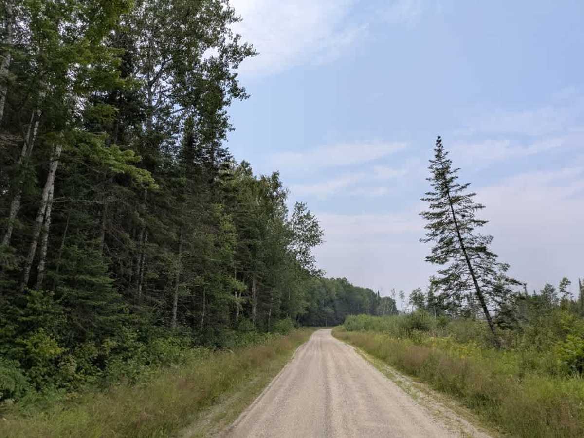 Ash Lake Road photo 4