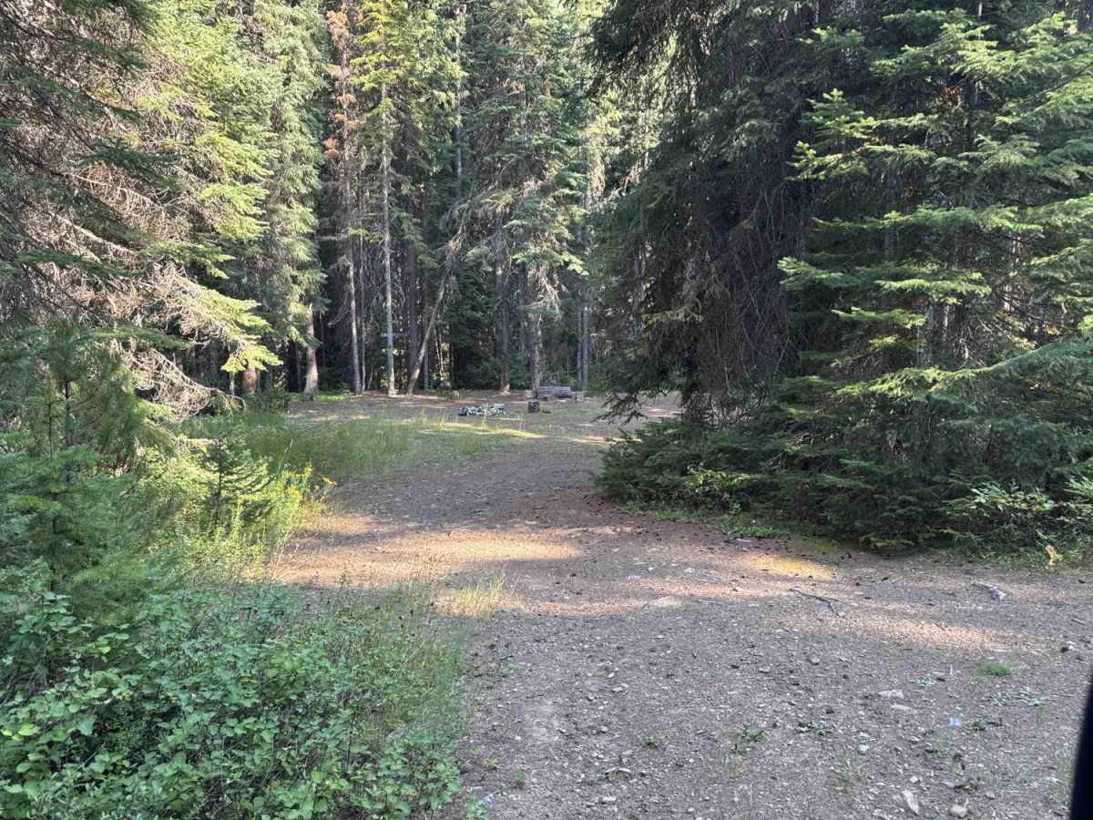 4W-7736 - Big Flat Trail photo 6