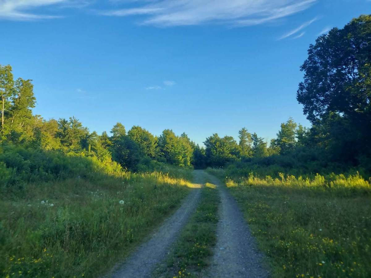 Twin Brook Road trail photo