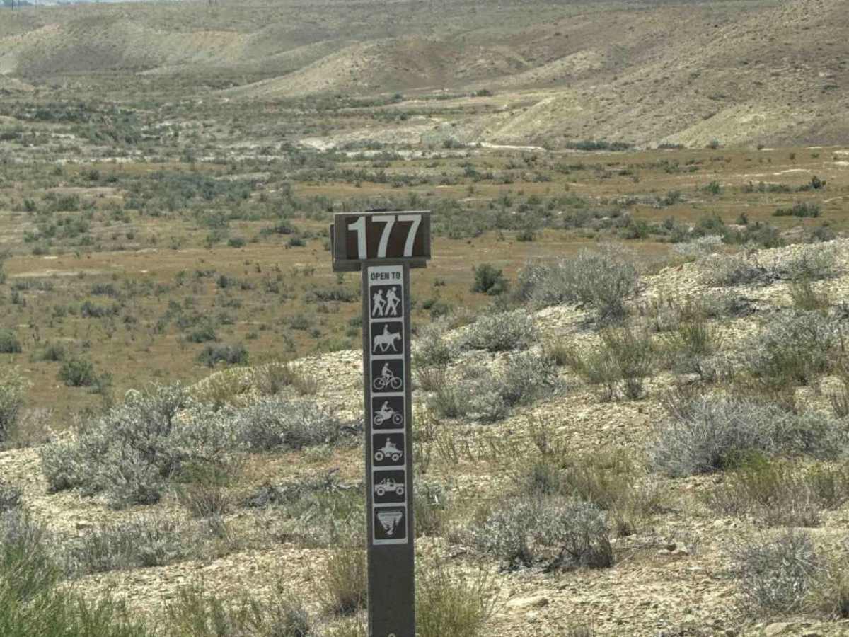 BLM 177 photo 4
