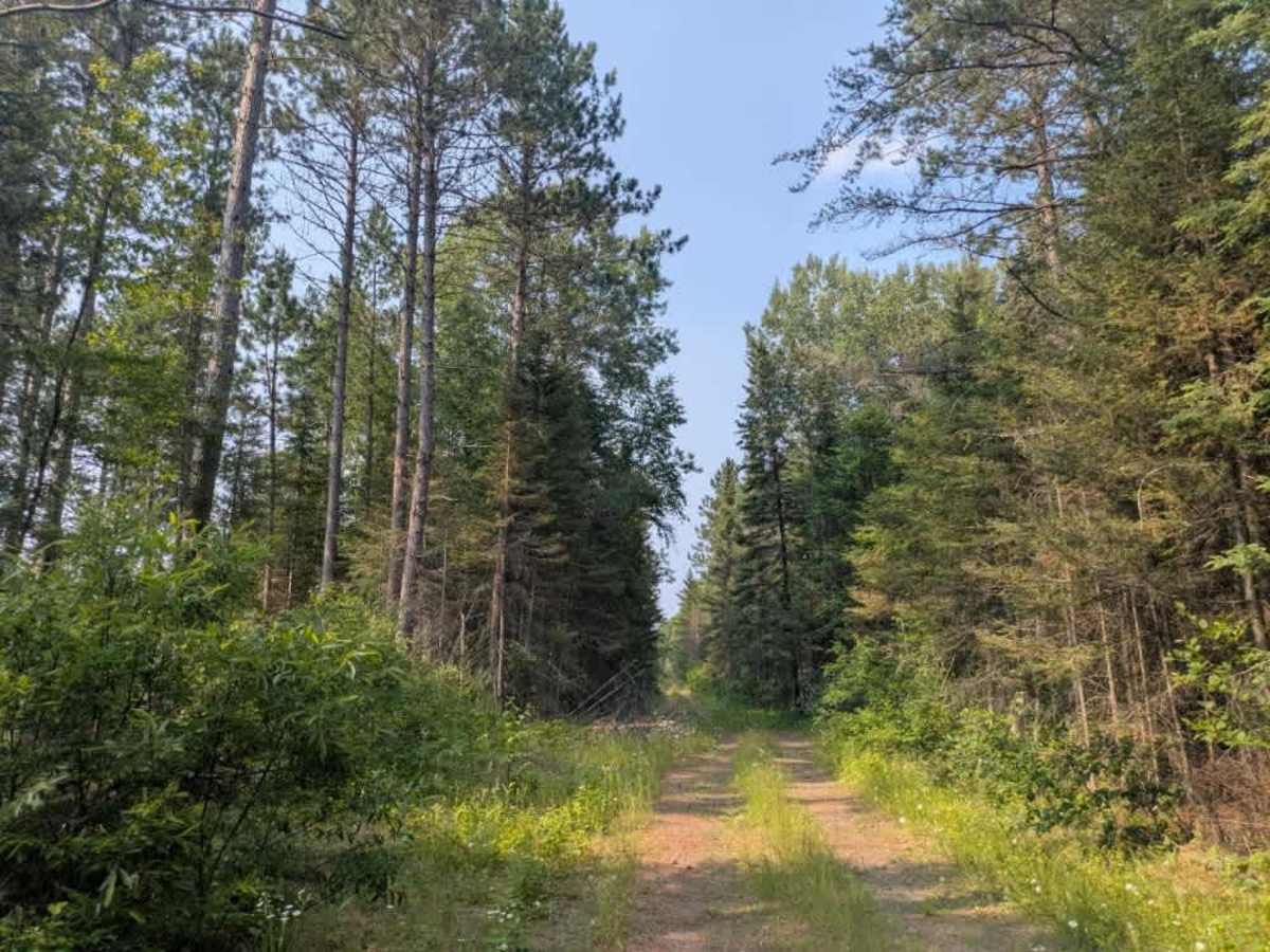 Plum Lake photo 6