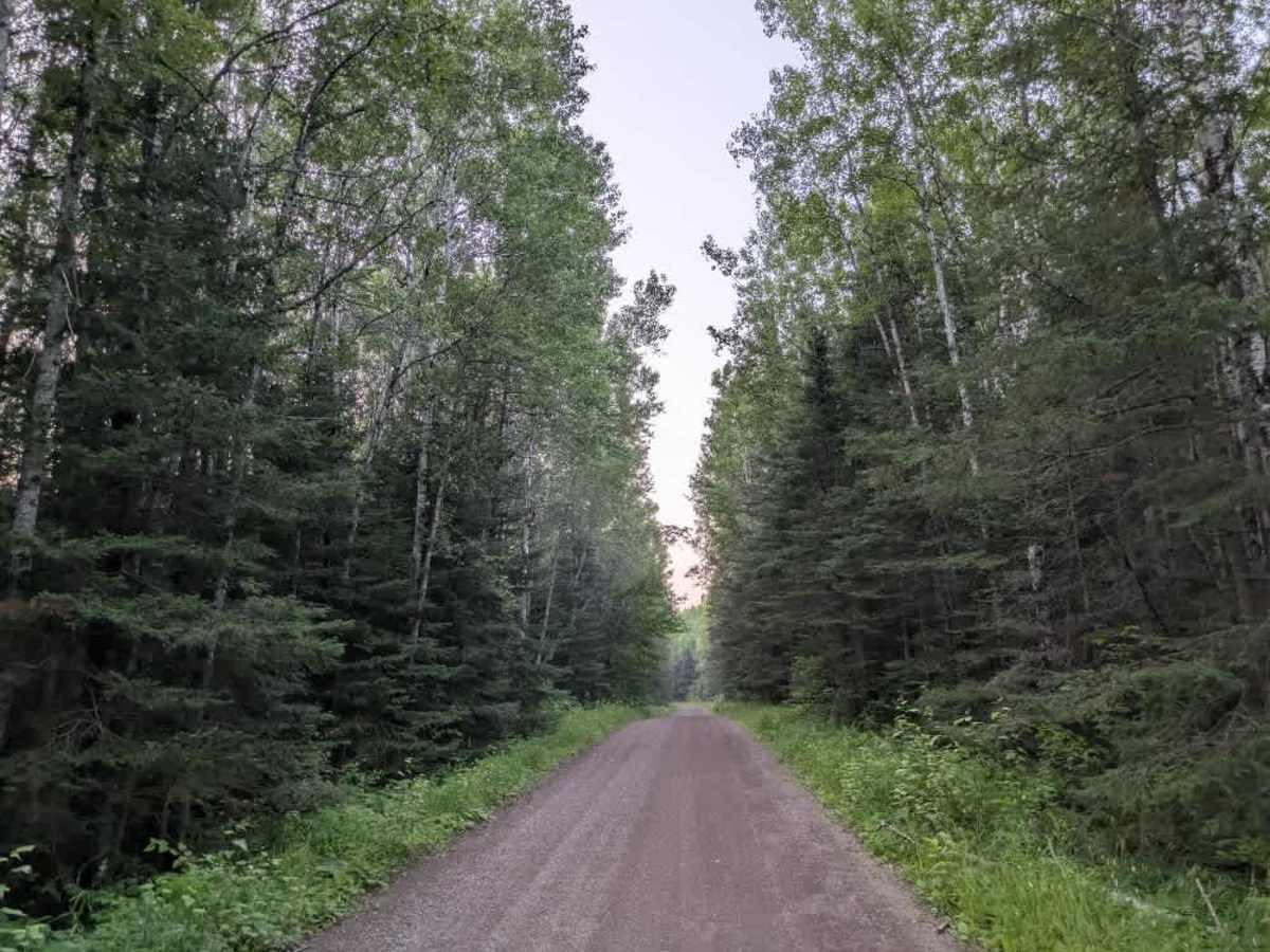 Bally Creek trail photo