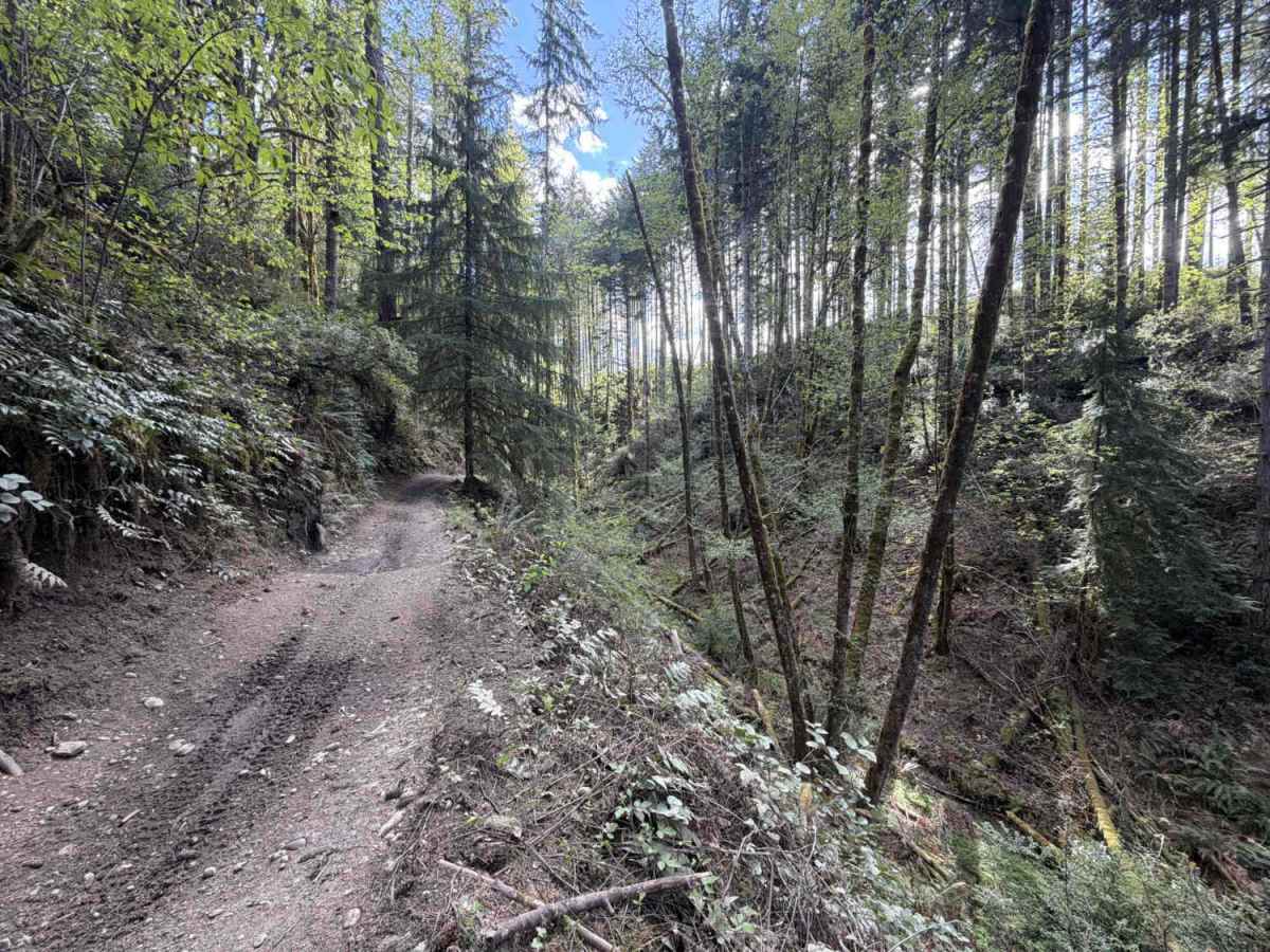Mission Creek trail photo