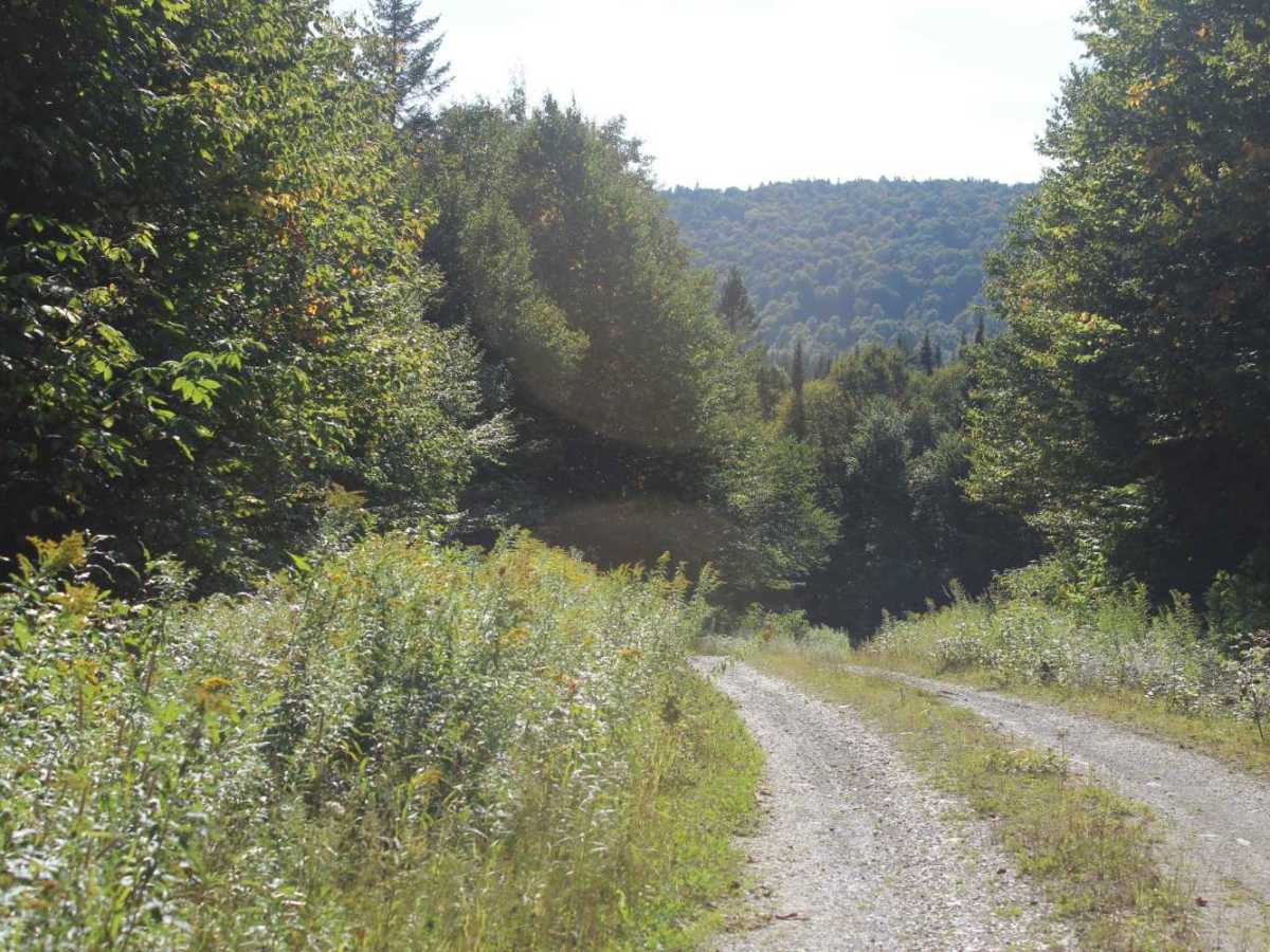 Rump Mountain Trail photo 2