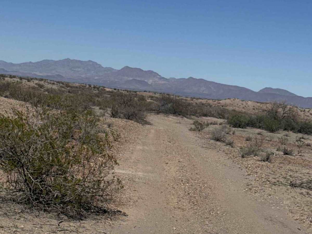 Ss1014 trail photo