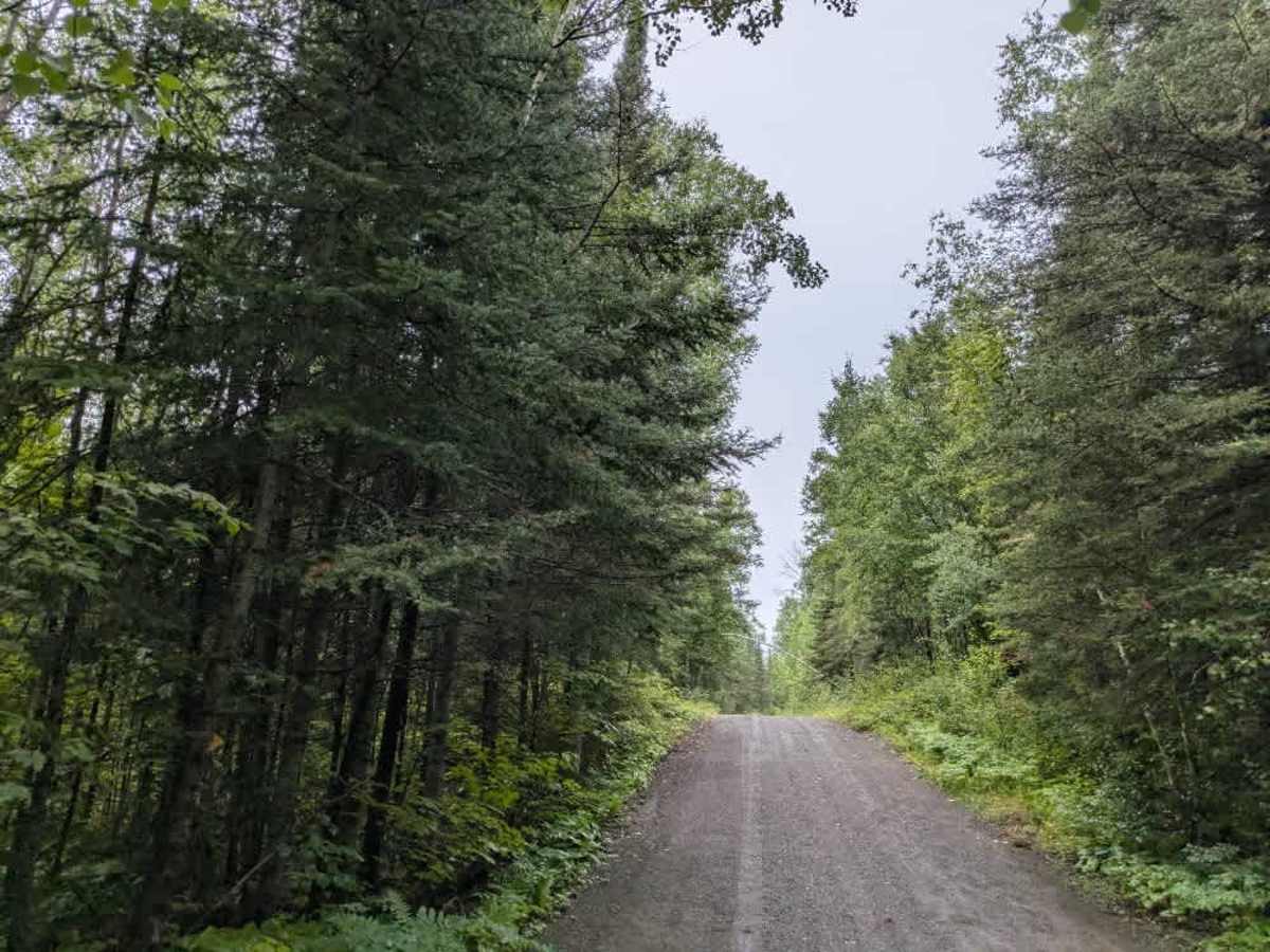 146 trail photo