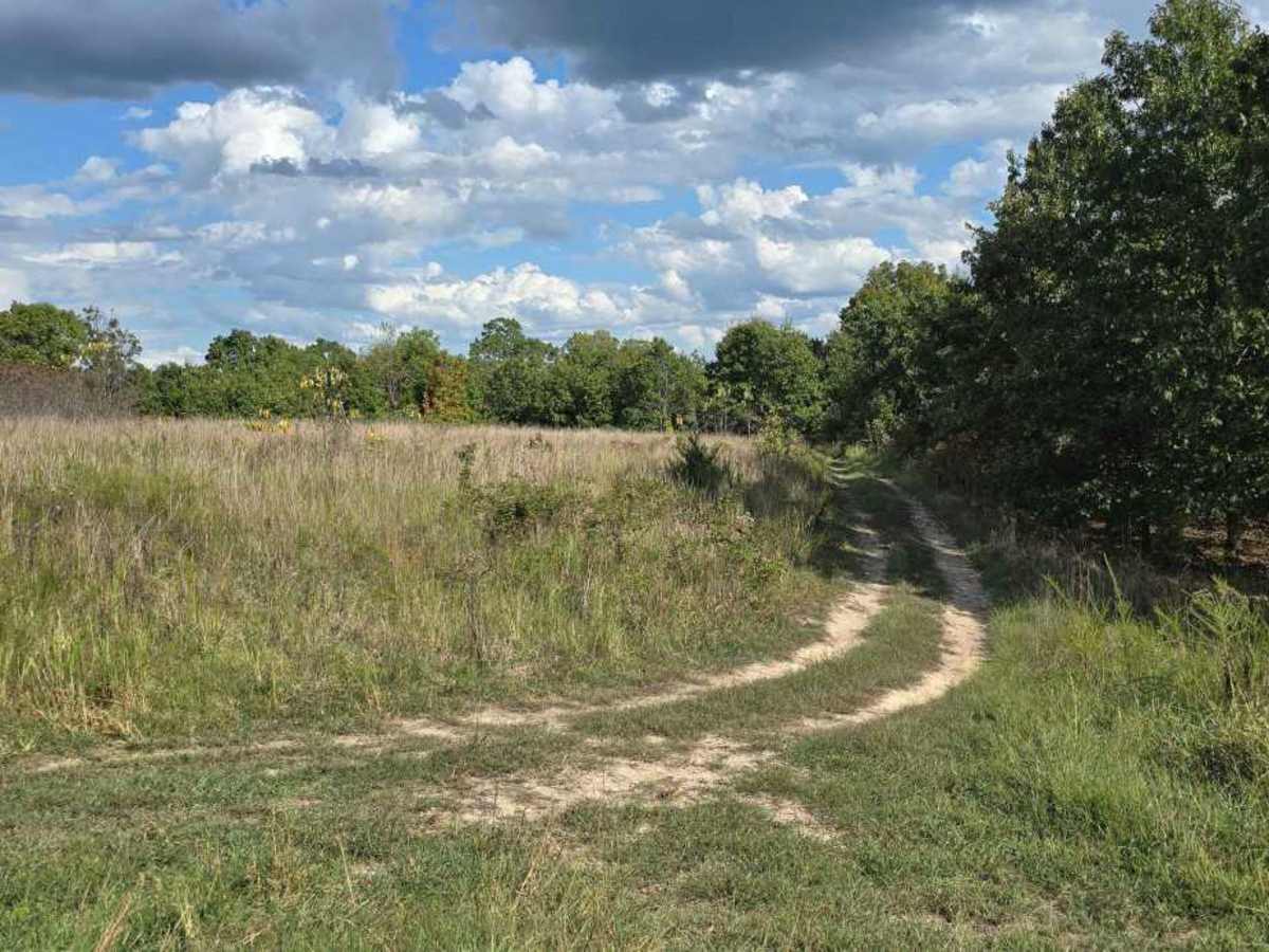 Upper Field Trail trail photo
