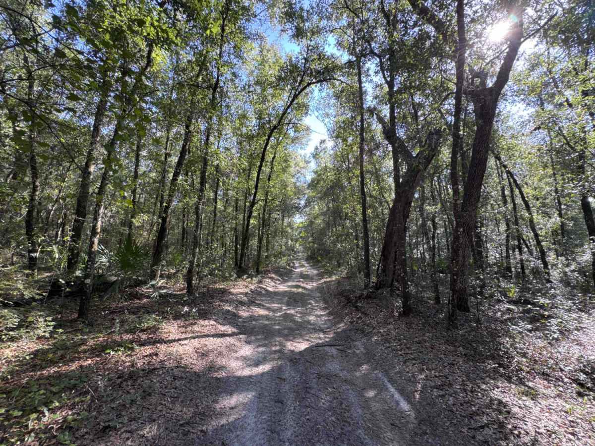 Cemetery Road photo 2
