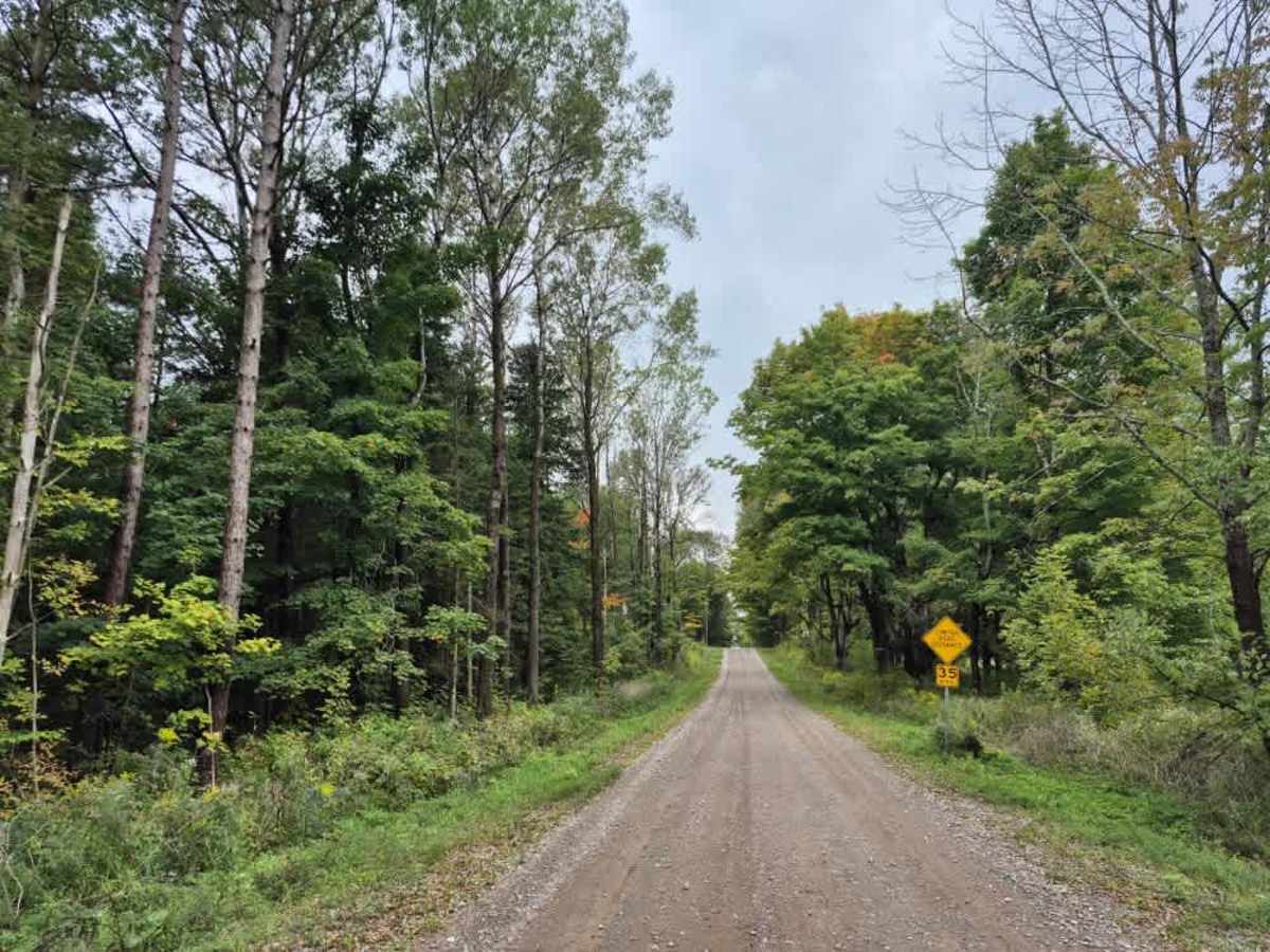 Neff Road trail photo