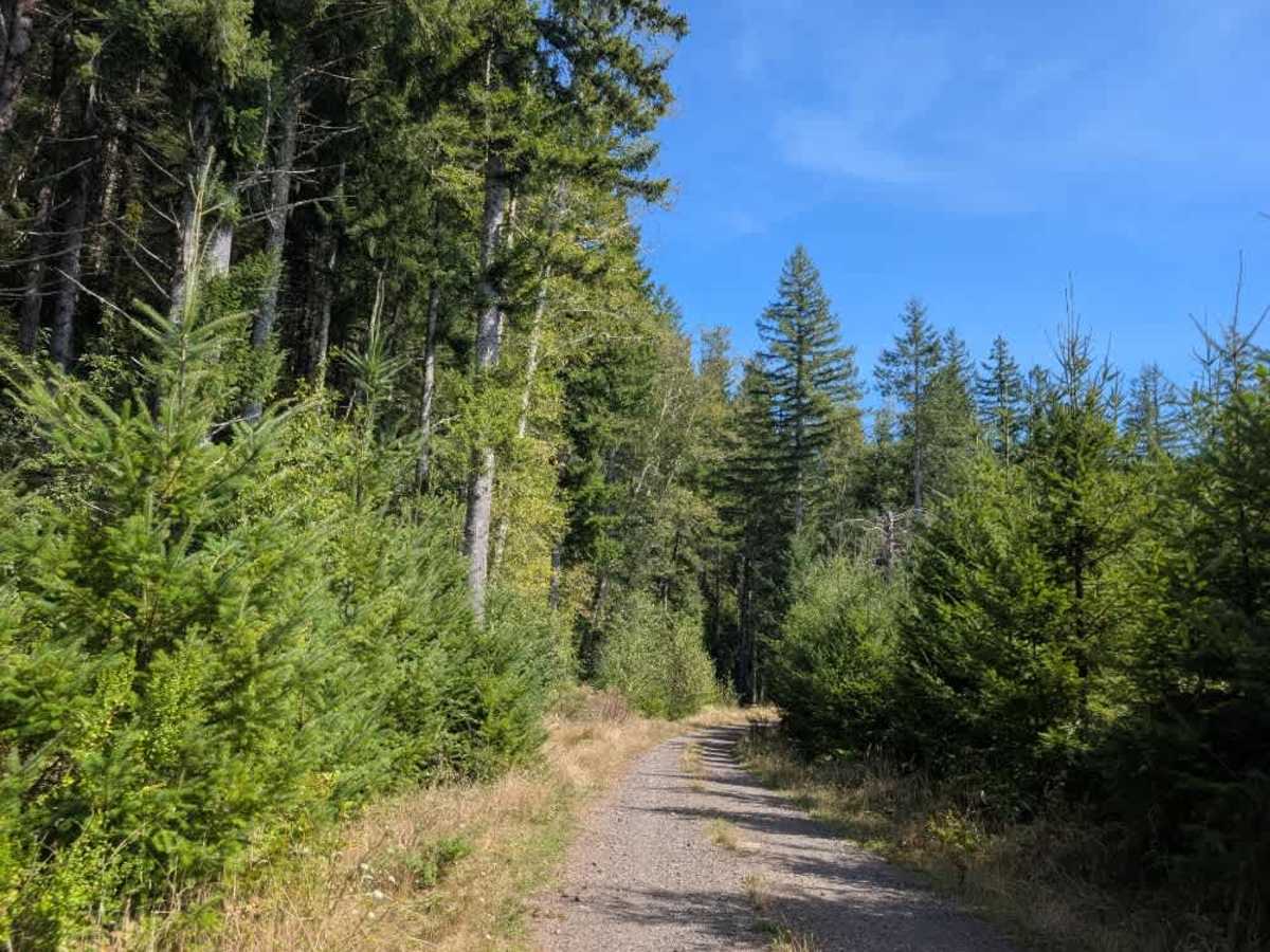 1400 trail photo