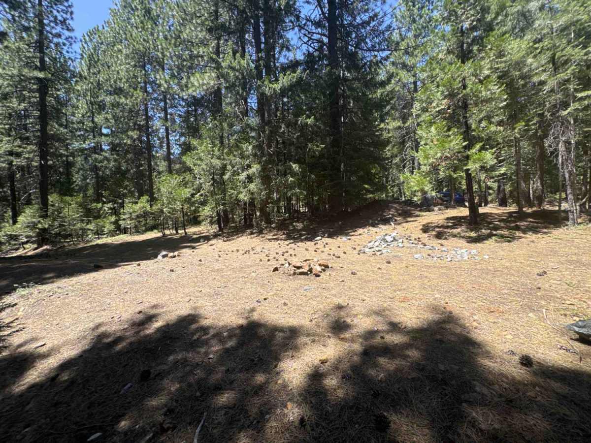 Ney Springs - FS 39N34 photo 2