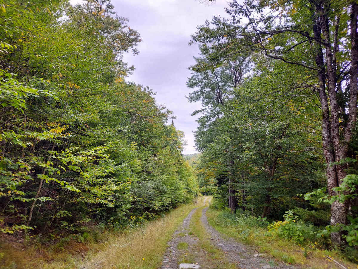 Graham Brook Trail photo 4