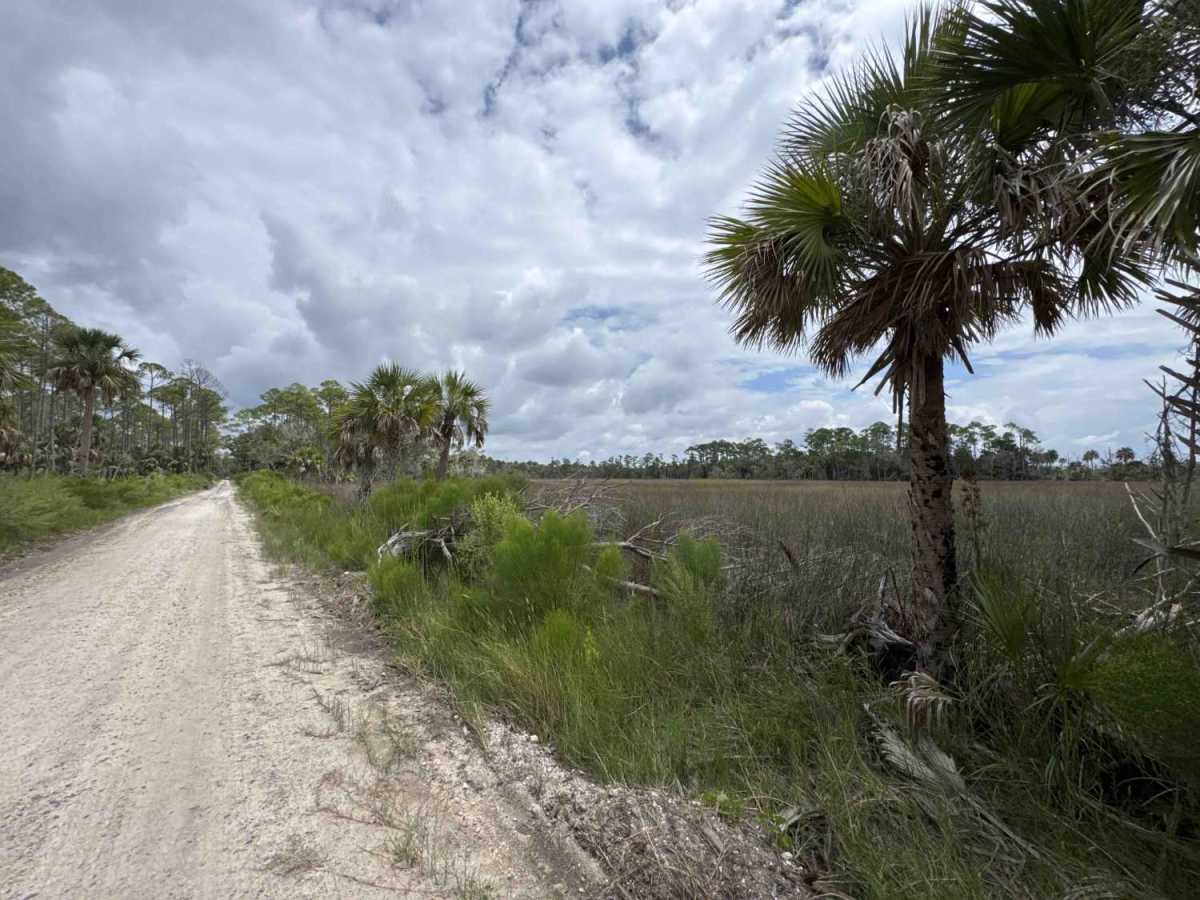 Salt Creek Road photo 5