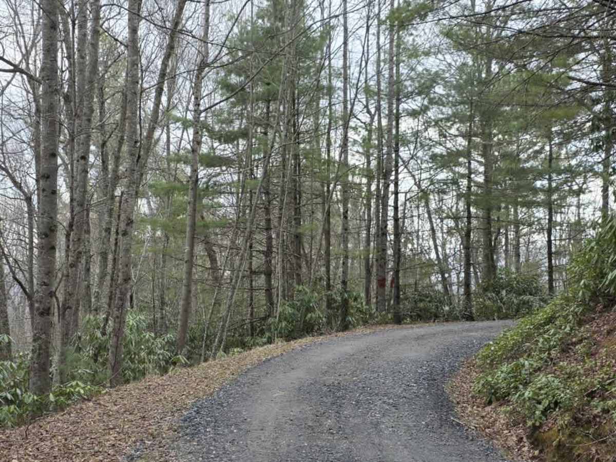 Flat Top Road photo 5
