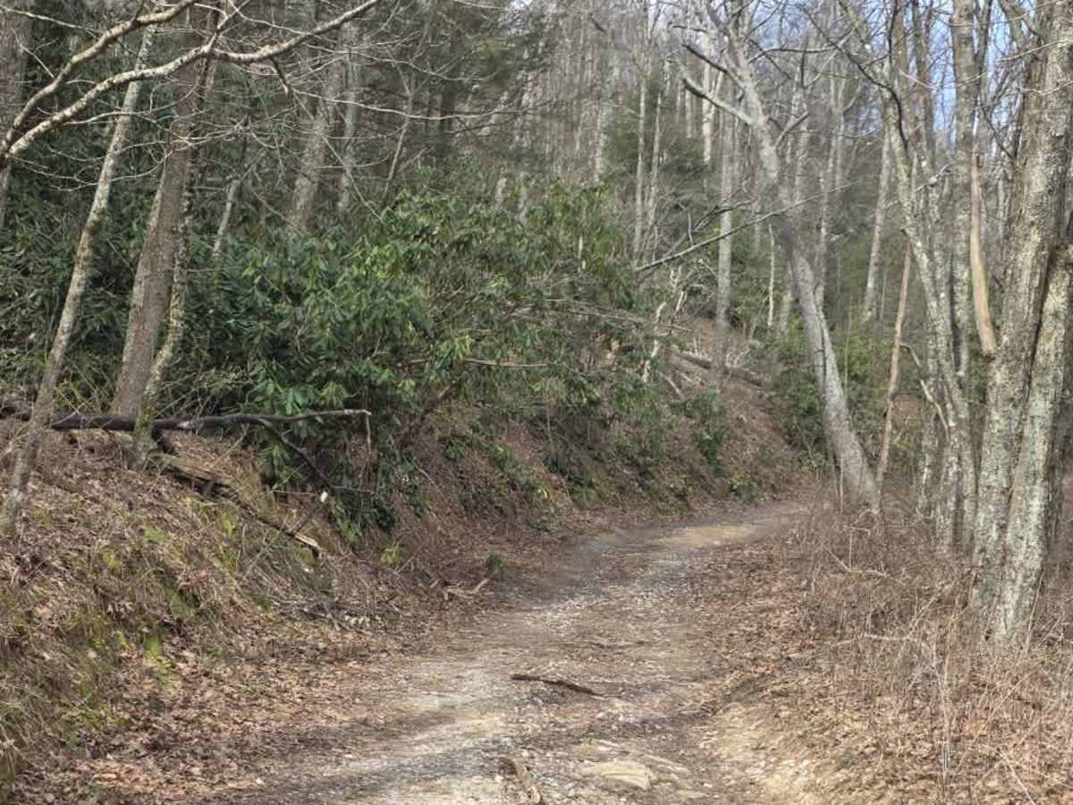 Ephraim Road - FS 5583 photo 4