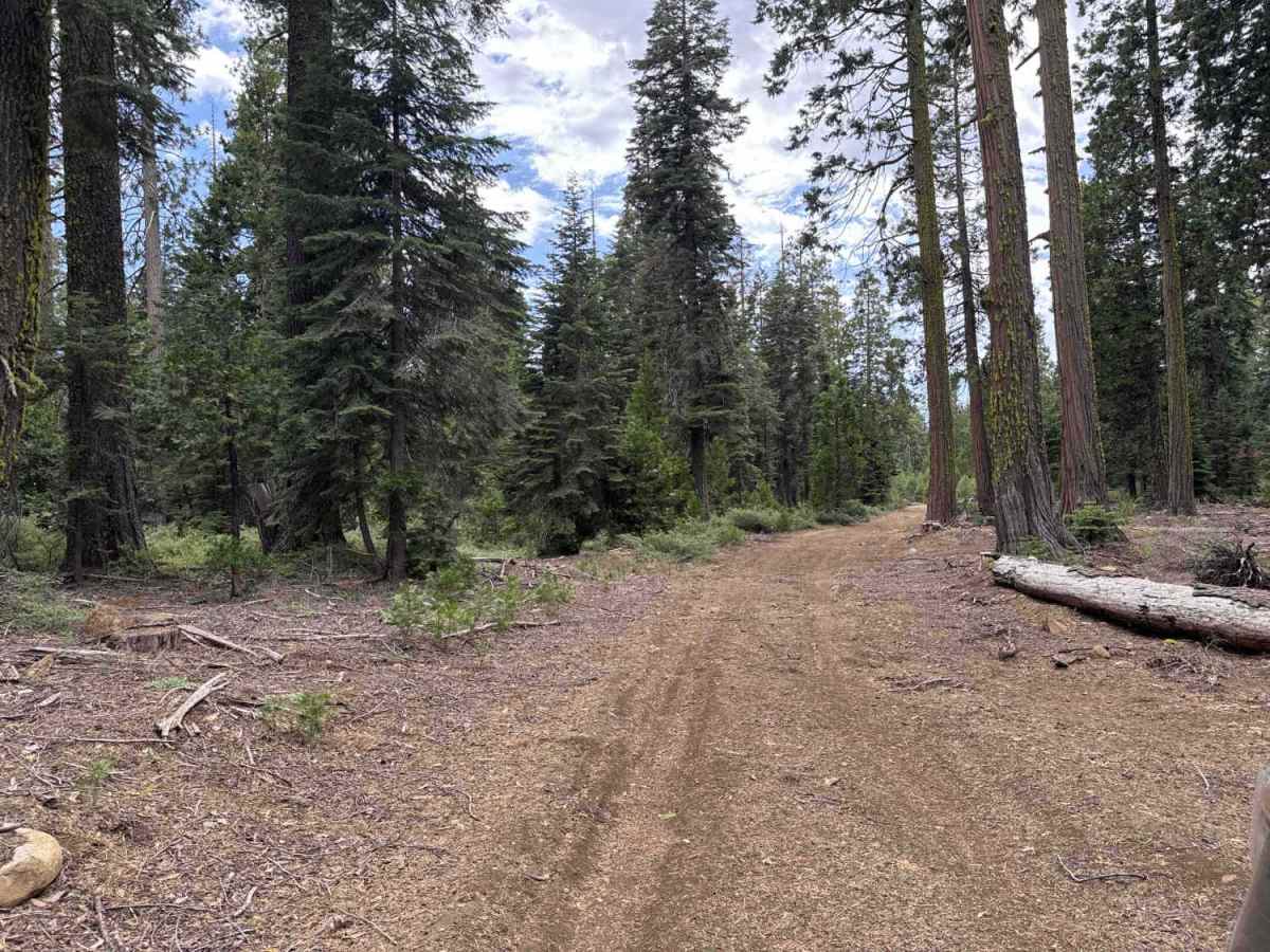 Bear Spring - FS 96-034-02 photo 2